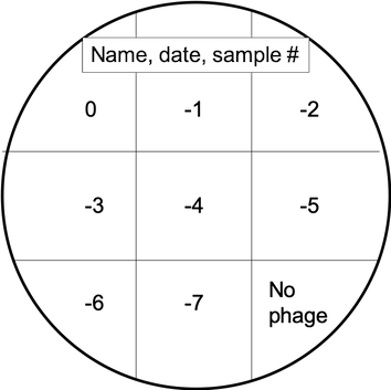 spot_assay