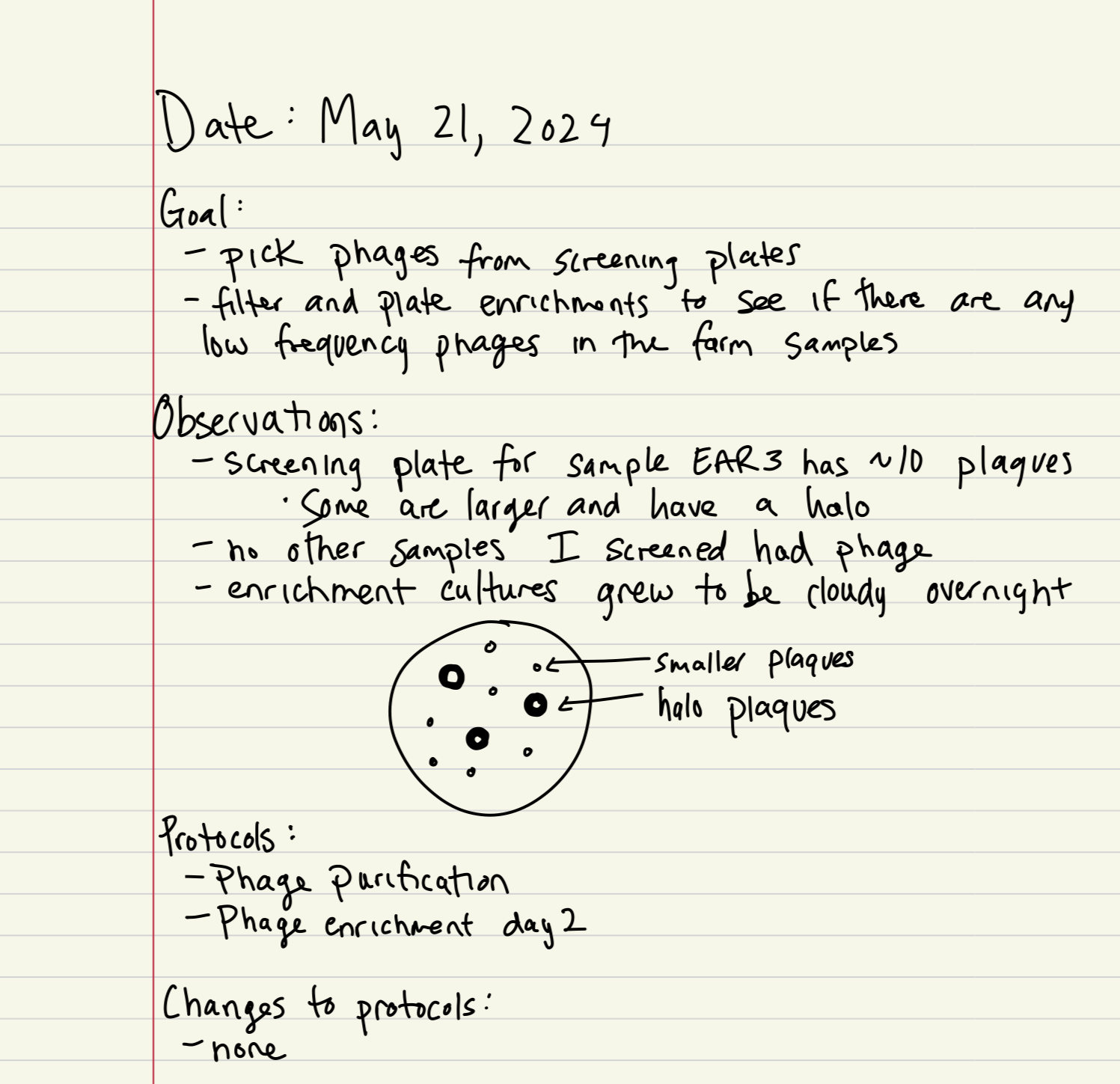 Lab Notebook Example